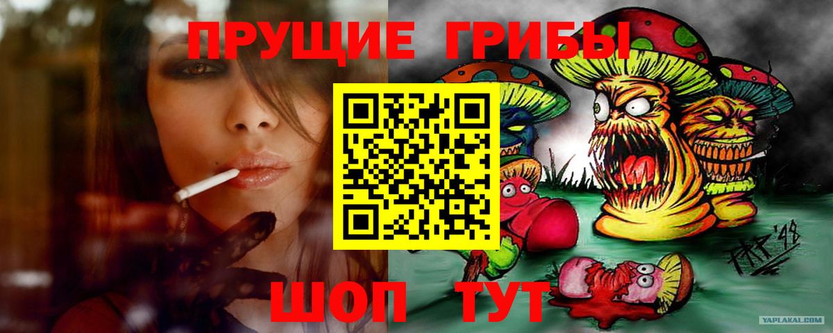 Елизово  Псилоцибиновые грибы ЛСД  Вход с VPN 